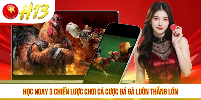 Học ngay 3 chiến lược chơi cá cược đá gà luôn thắng lớn