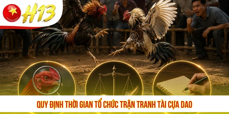 Quy định thời gian tổ chức trận tranh tài cựa dao